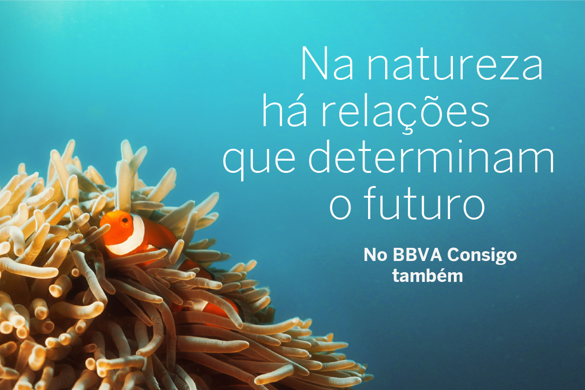 Na natureza há relações que determinam o futuro, No BBVA Consigo também